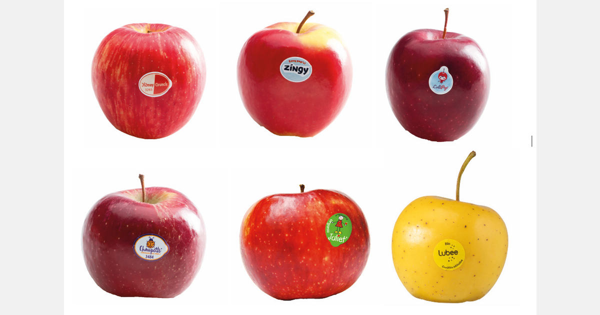 "We are focusing on taste and seasonality to stand out in the apple market"