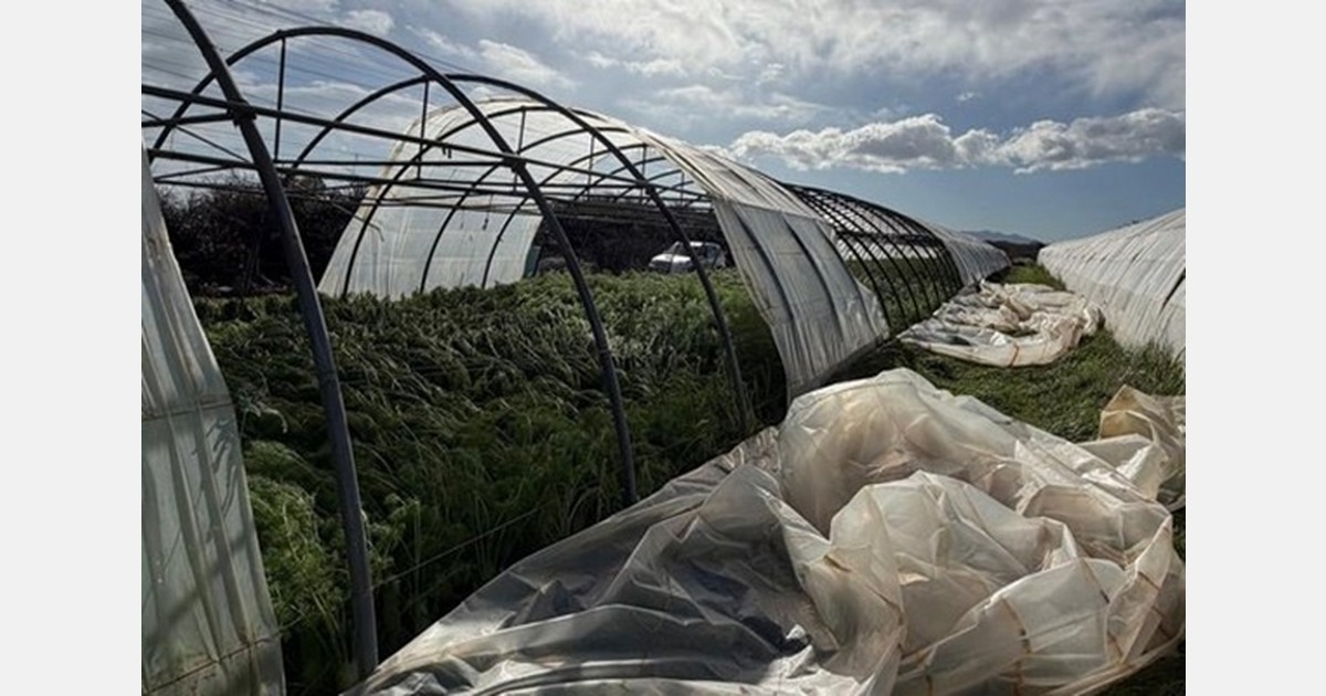 First reports after the passage of storm Nils