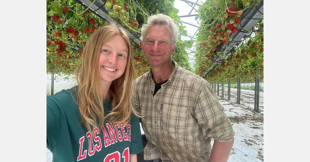 "Winter is becoming a real challenge for vegetable growers"