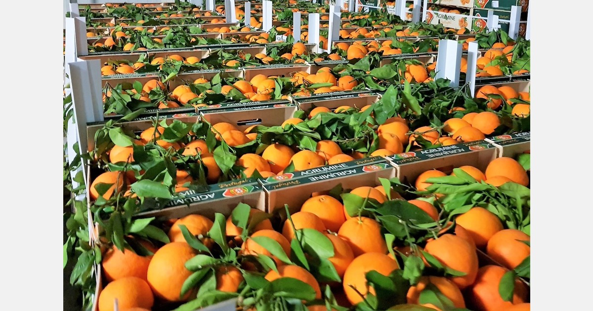 Reactivity as a lever for performance in bad weather