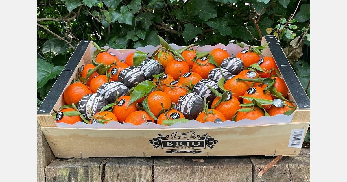 Мандарины: дефицит испанской Orri и погодные риски в Европе