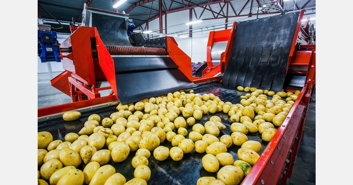 "The dominant position of Belgium and the Netherlands could accentuate the pressure on available outlets"