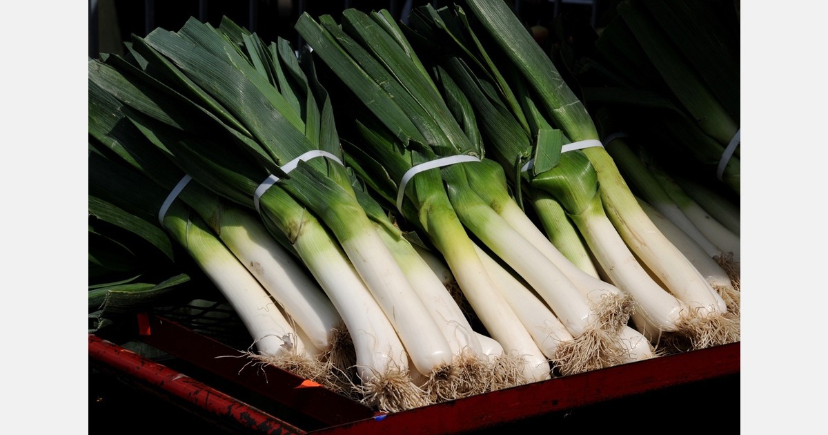 The French leek market faced with "a succession of difficult periods"
