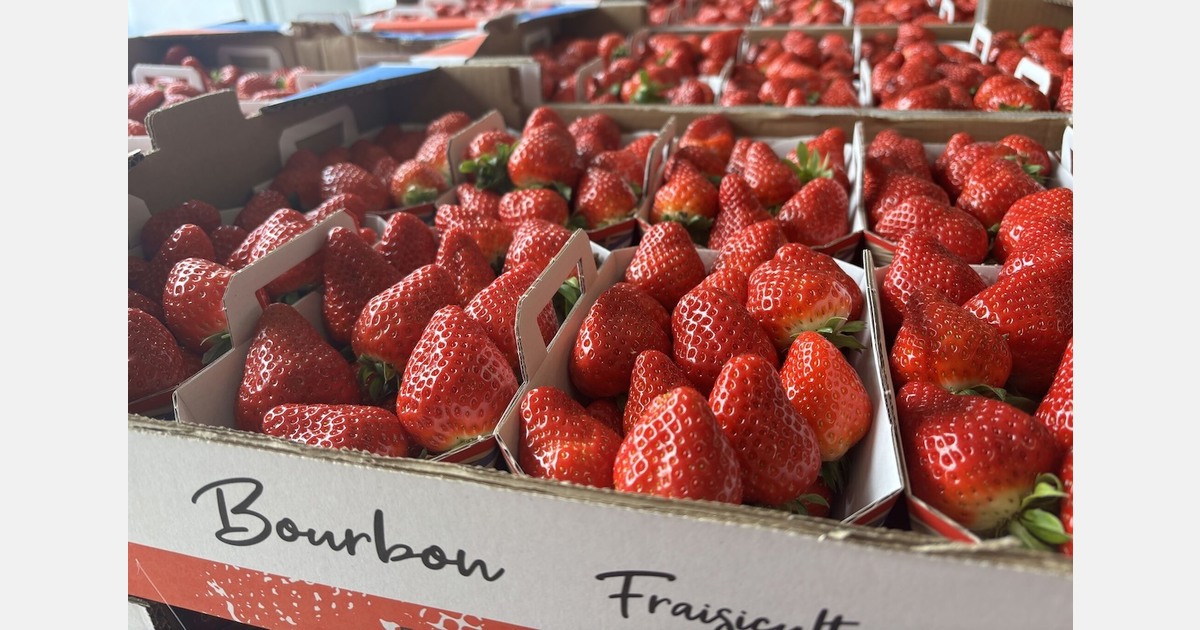 "The market is fluid, but we do not want lower prices"