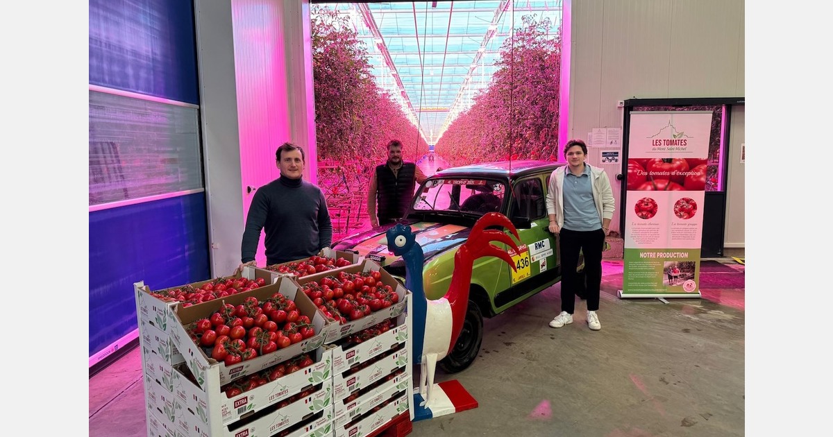 Varietal selection and innovative technologies as key levers to meet the demands of the tomato market