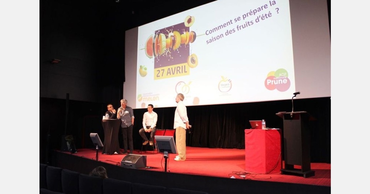 What can we learn from the 'Summer Fruit Meeting' ahead of medFEL 2026?