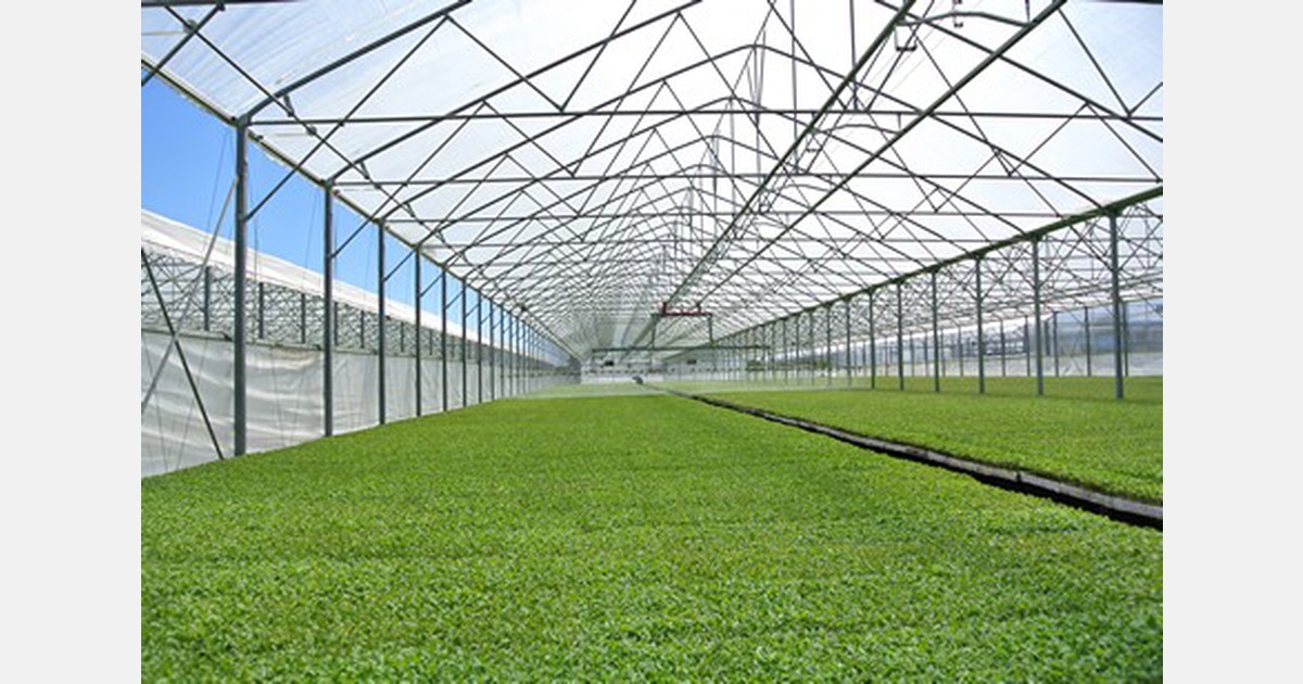 Nanotechnologies and semi-closed greenhouses for protected cultivation