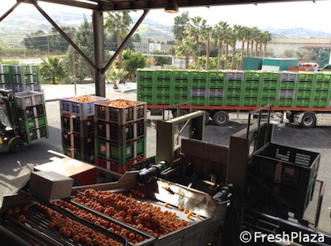 La forza di una filiera è determinante per riequilibrare i prezzi di mercato