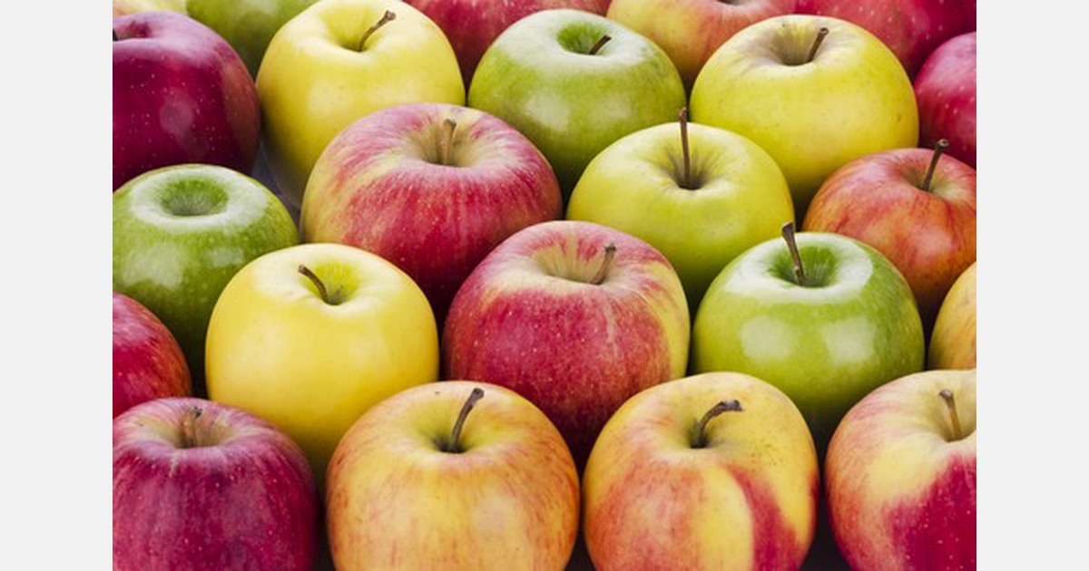 Italian apple sales in January in line with previous seasons