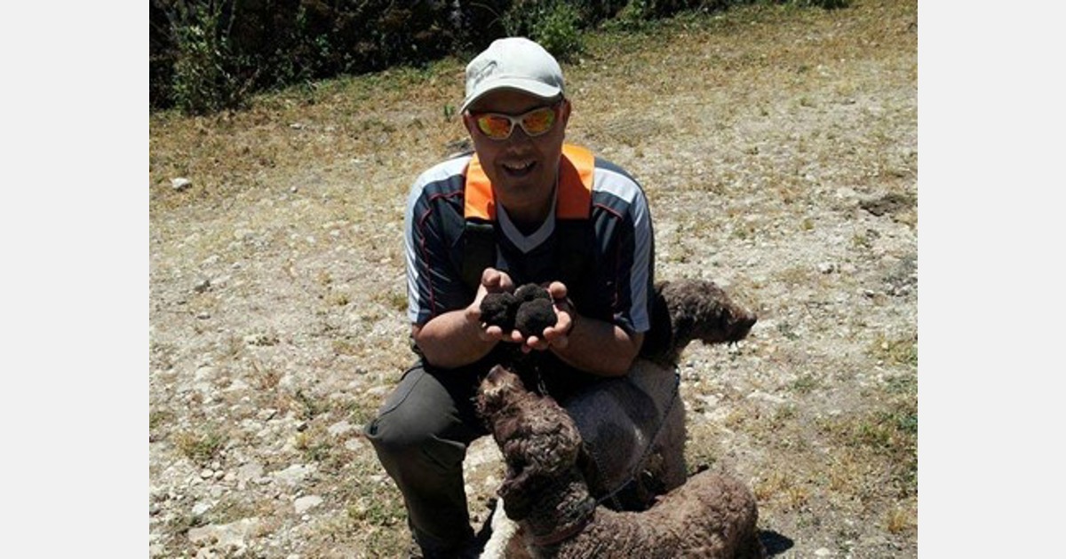 Sicily, land of truffles