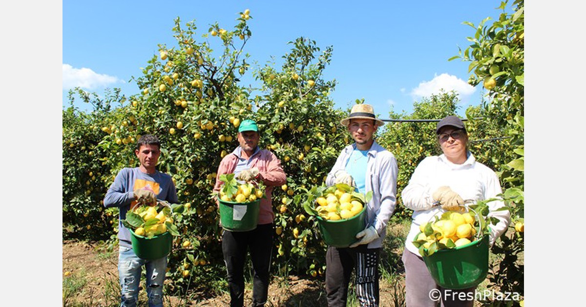 Ultimi giorni di saldi a Limor in Italia e all’estero Ultimi giorni di saldi a Limor in Italia e all’estero
