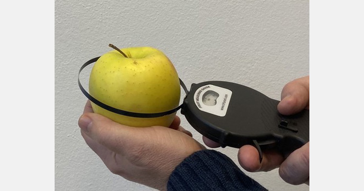 TR Turoni introduces a universal grader suitable for all products