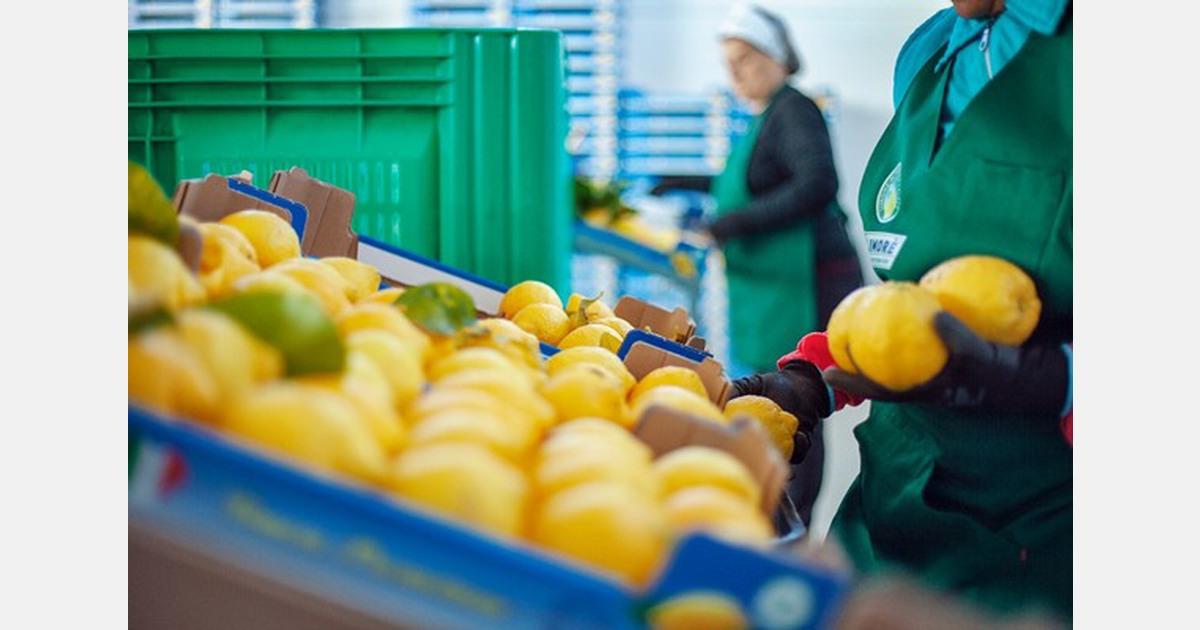 "Our lemons sell at higher prices than the competition"