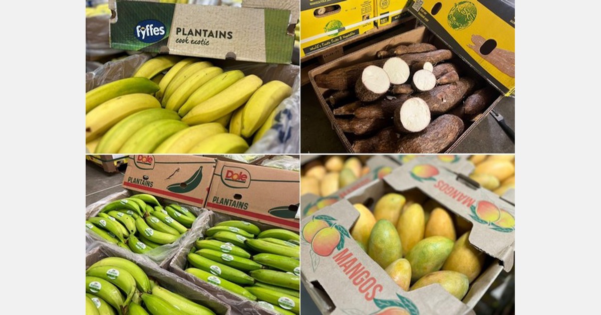 “Peculiar markets for plantain and yuca. Excellent season for Santo Domingo yellow mango.” Export