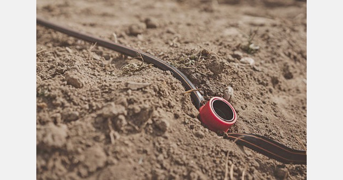 Hosestopping nail a small item useful for drip irrigation