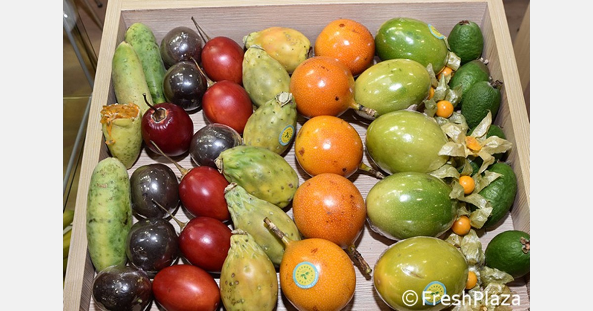 Andamento commerciale dei frutti tropicali in Italia