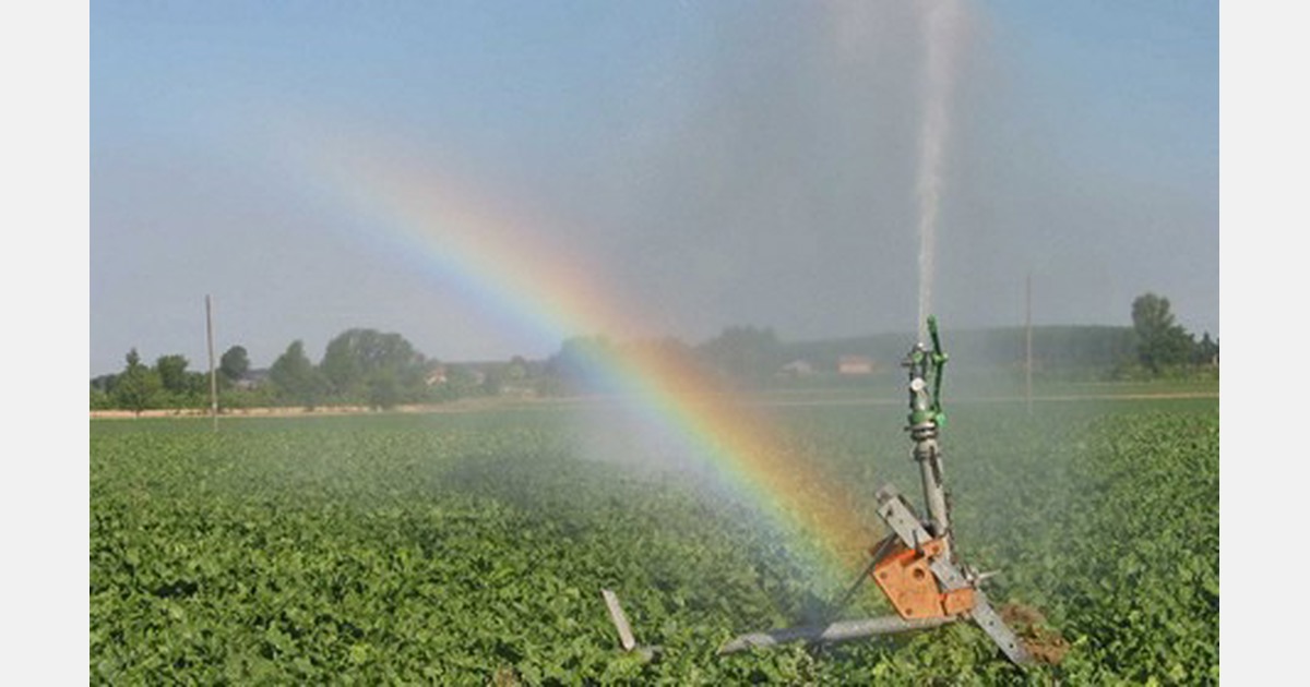 Intensive irrigation in October, something unprecedented