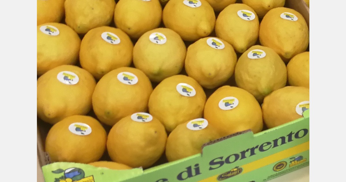Lemons from Sorrento available on the foreign markets as a processed ...