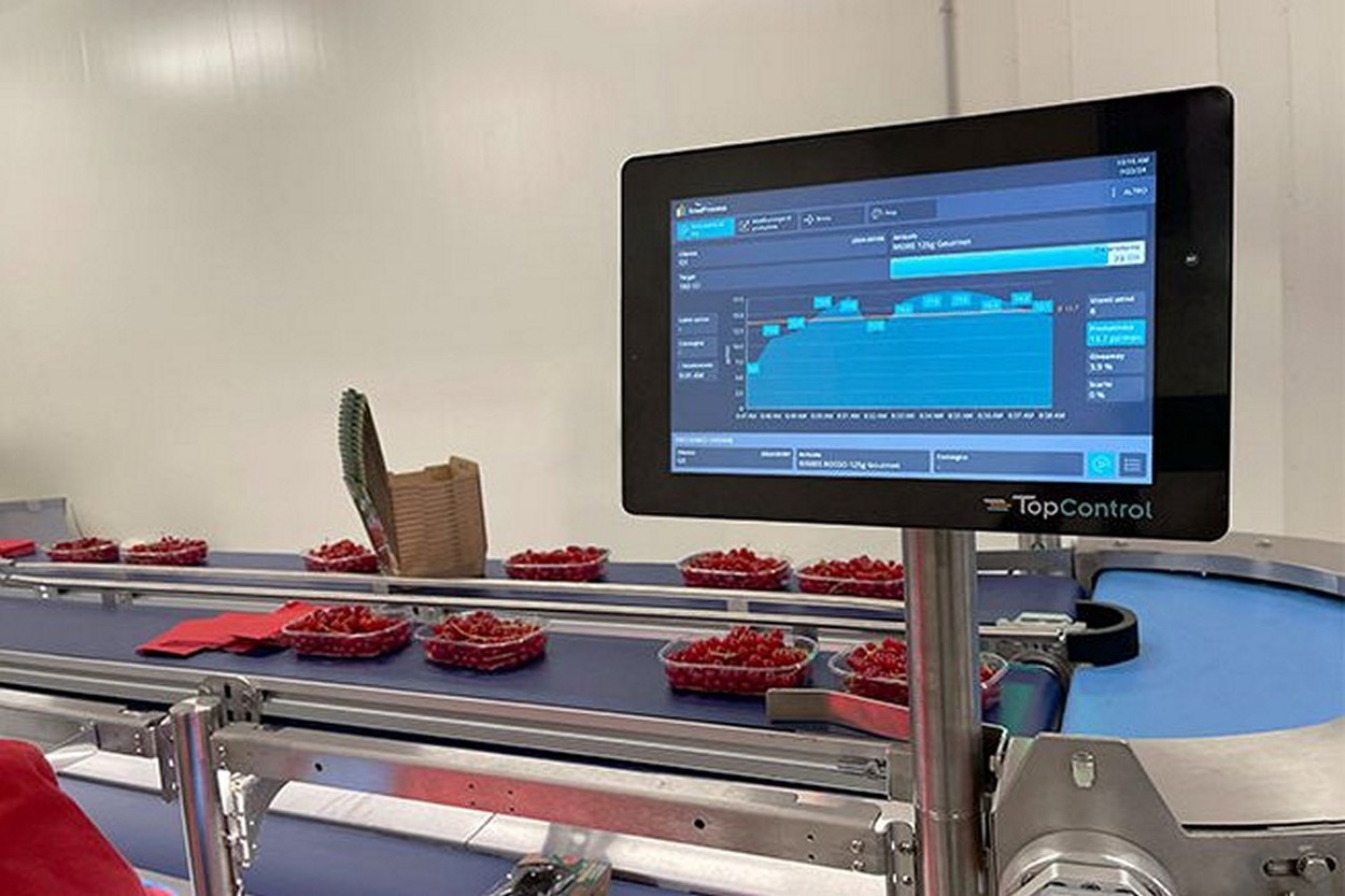 Weighing and packing line solutions for companies in the fruit and