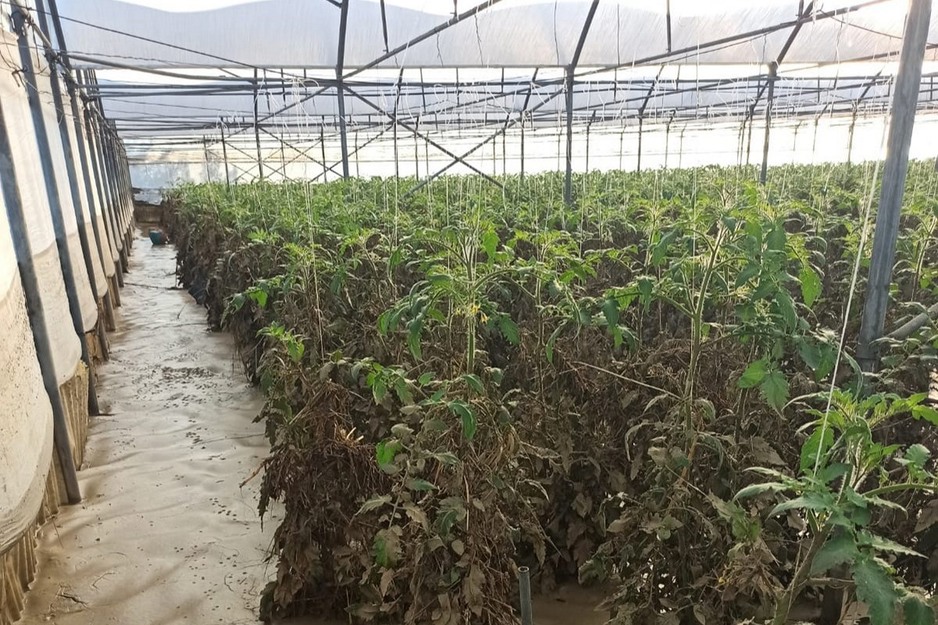 Flooding in Sicily what happened and an initial estimate of the damage