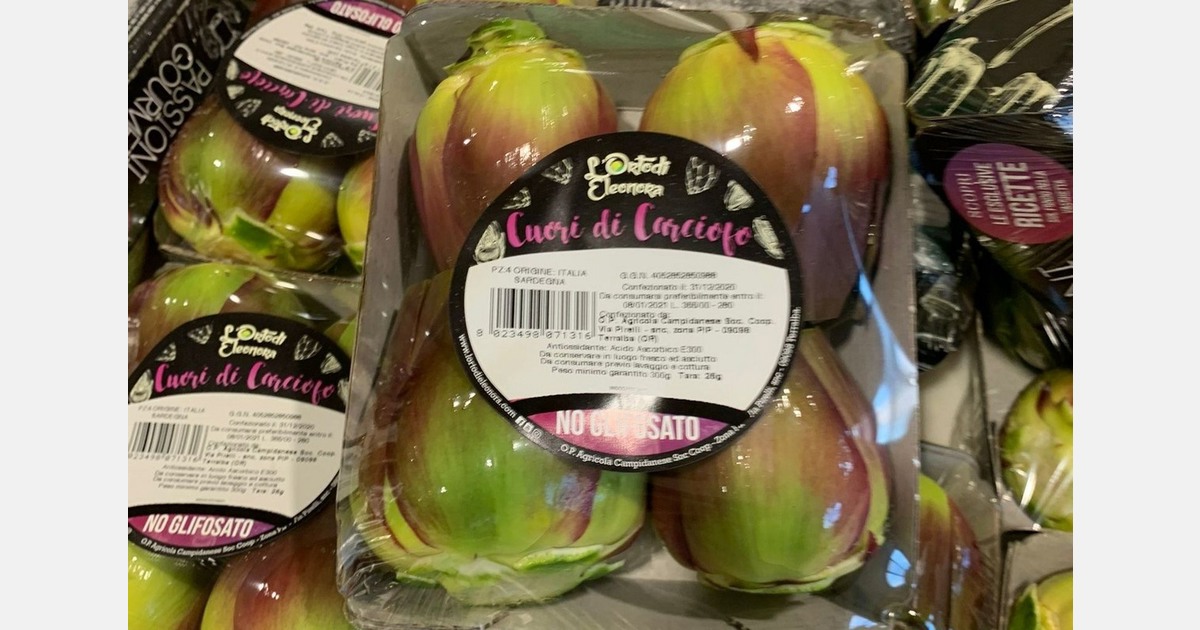 Sardinia - the crisis-proof recipe for artichokes