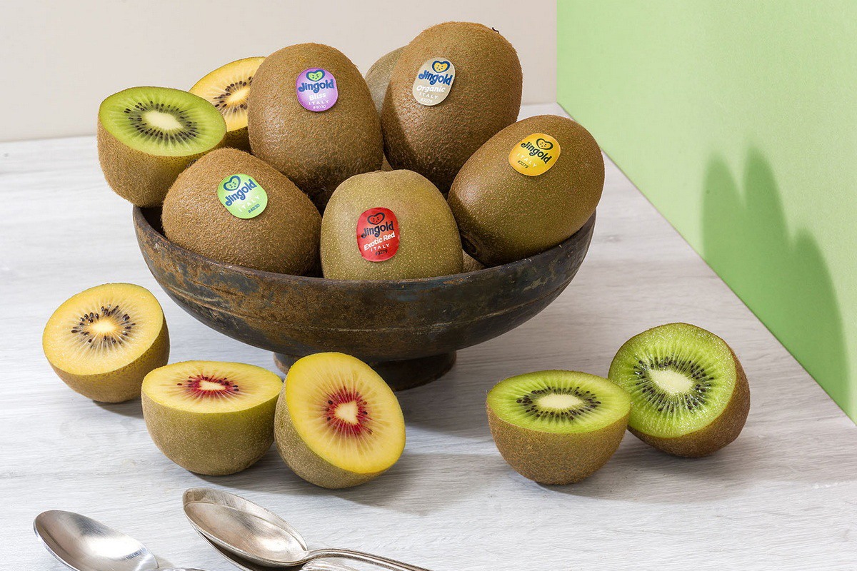 Jingold starts marketing the first 200 tons of Spanish-origin