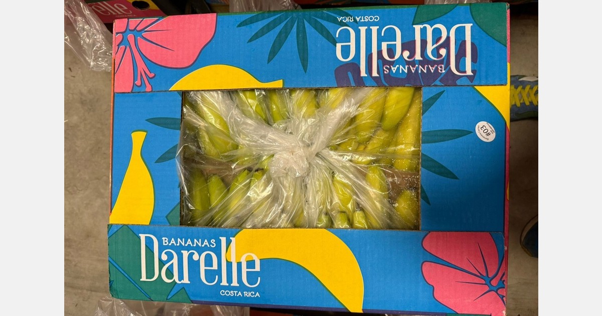 "We are the sole suppliers of Darelle bananas in Europe"