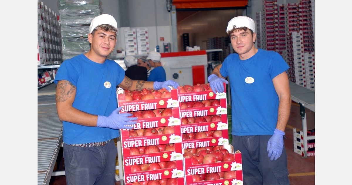 Pomegranates: Issues with supply expected for Christmas