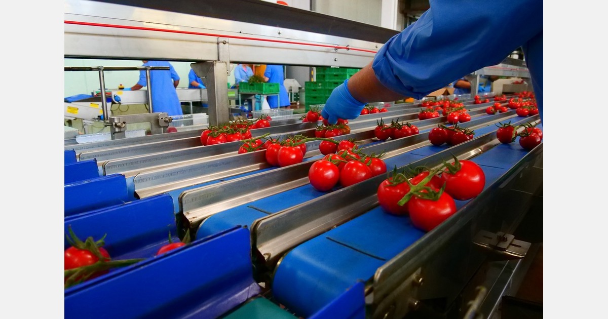 "Our technologies ensure a minimum margin of error on the guaranteed weight"