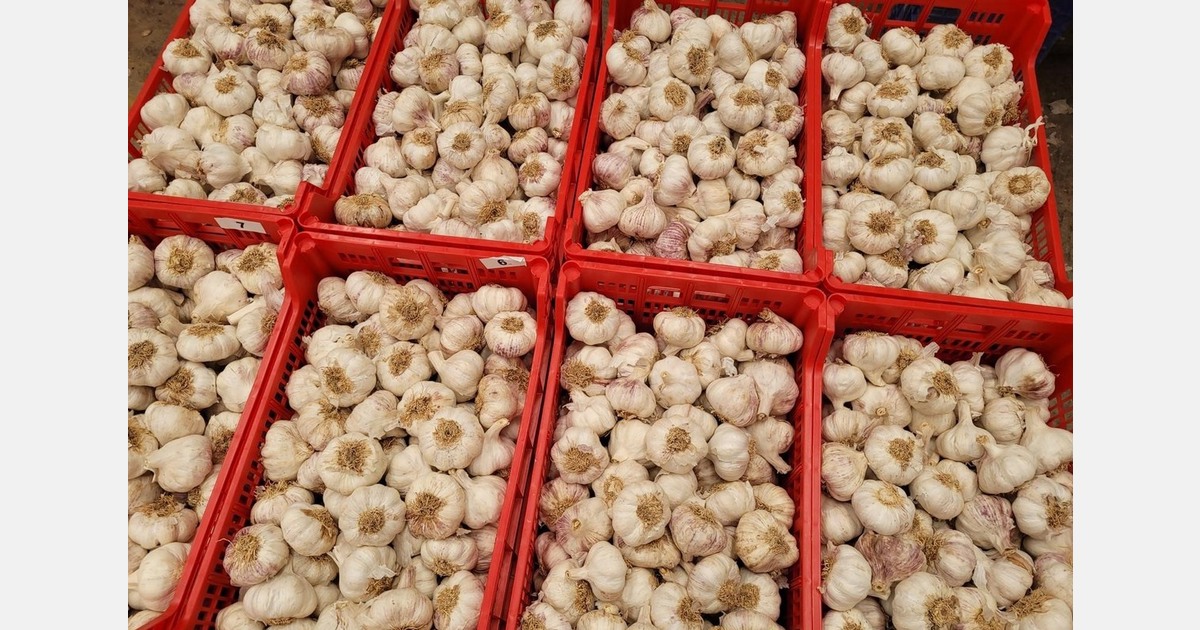 “Stagnant markets and aggressive imports call for a reflection at a European level"