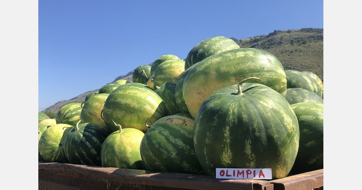 Serving innovation for almost 60 years