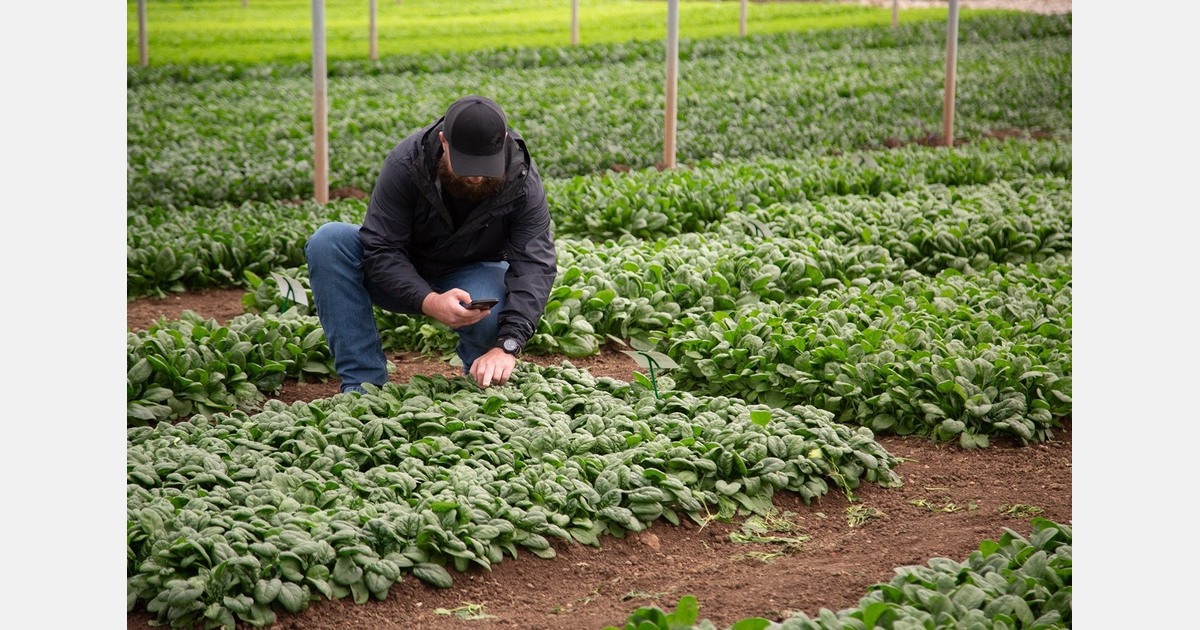 Fresh-cut novelties take center stage