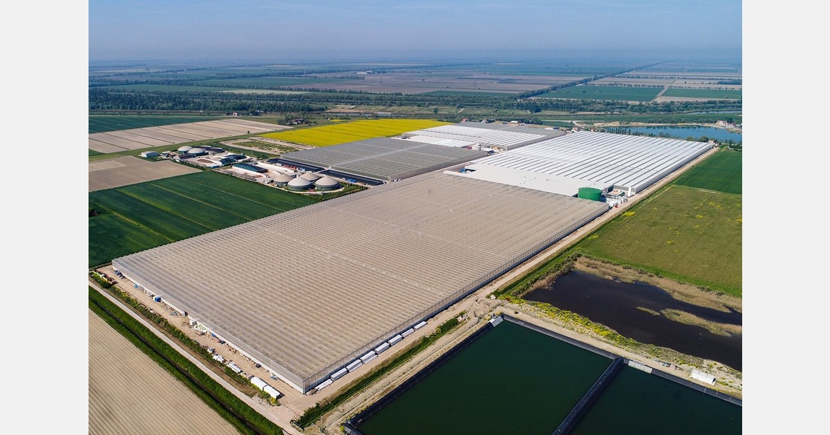 "We plan to expand the greenhouse area and increase our workforce from 600 to 1,000 employees"