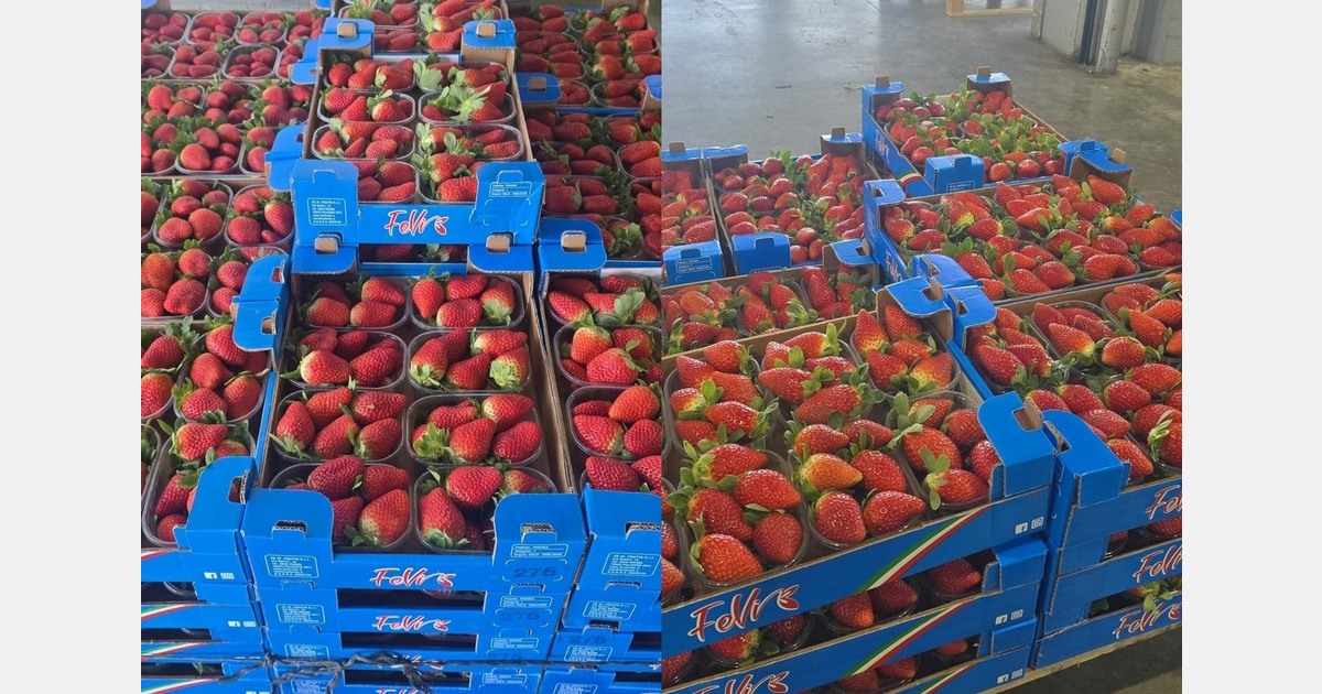 First strawberries of the season drive autumn sales