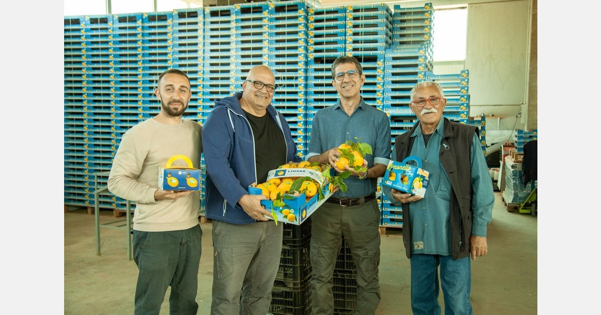 "We will start exporting lemons to Great Britain, Norway, and Germany immediately"