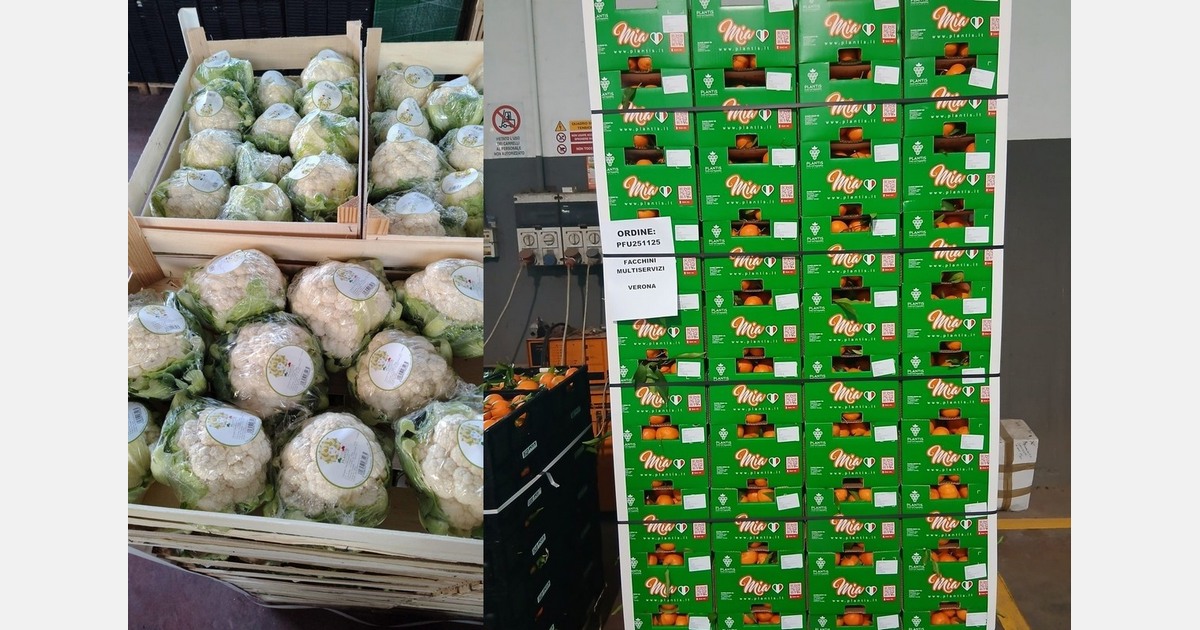 Christmas characterised by falling consumption of European fruit and vegetables