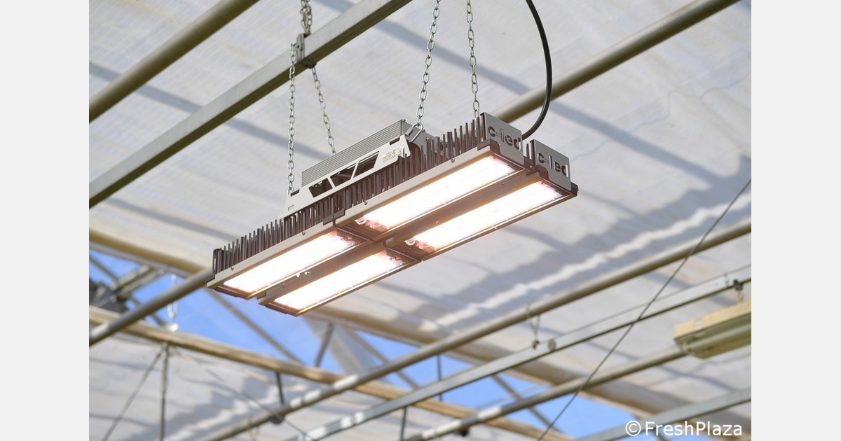 Custom LED gains ground as Italian nurseries push for efficiency