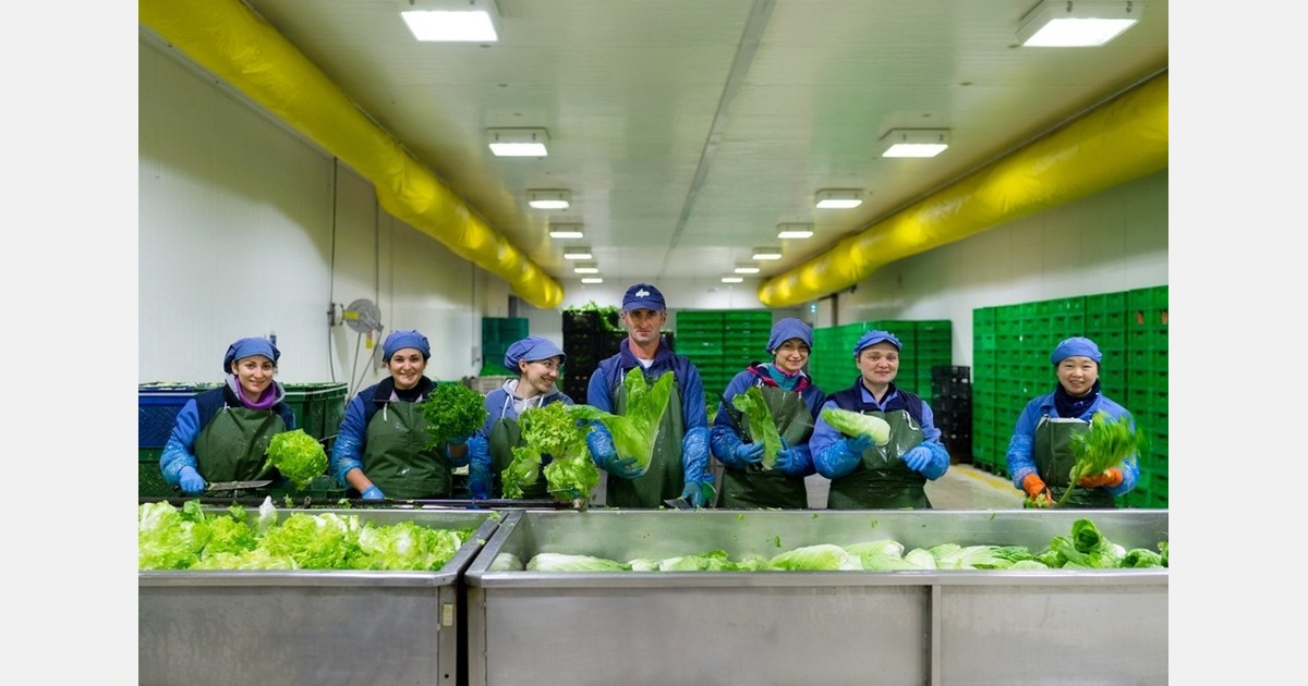 Increased attention to vegetables facing supply constraints and price increases