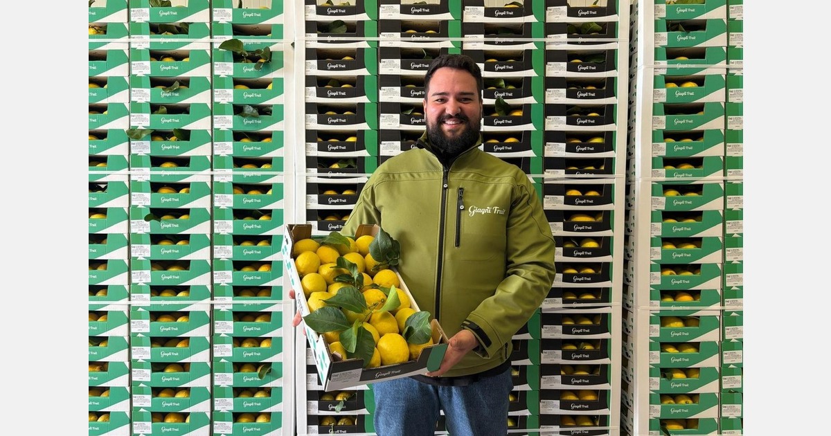 "Positive commercial feedback and expansion towards the Scandinavian markets"