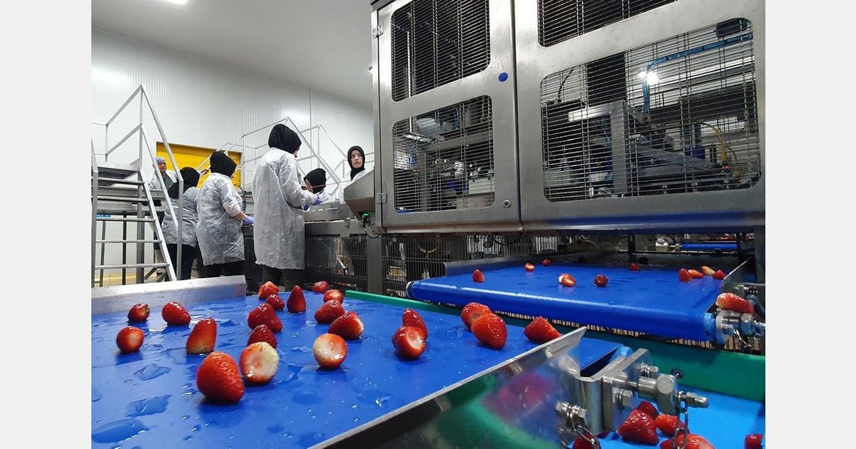 New technologies for strawberry processing
