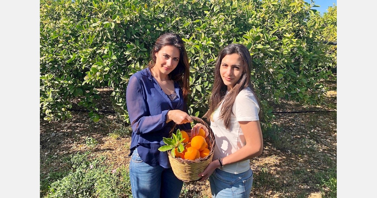 "Our PDO oranges are achieving excellent results also in Germany and France"