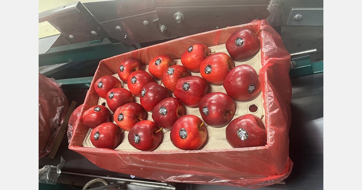 Piedmont apples already on their way to the United Arab Emirates and Saudi Arabia