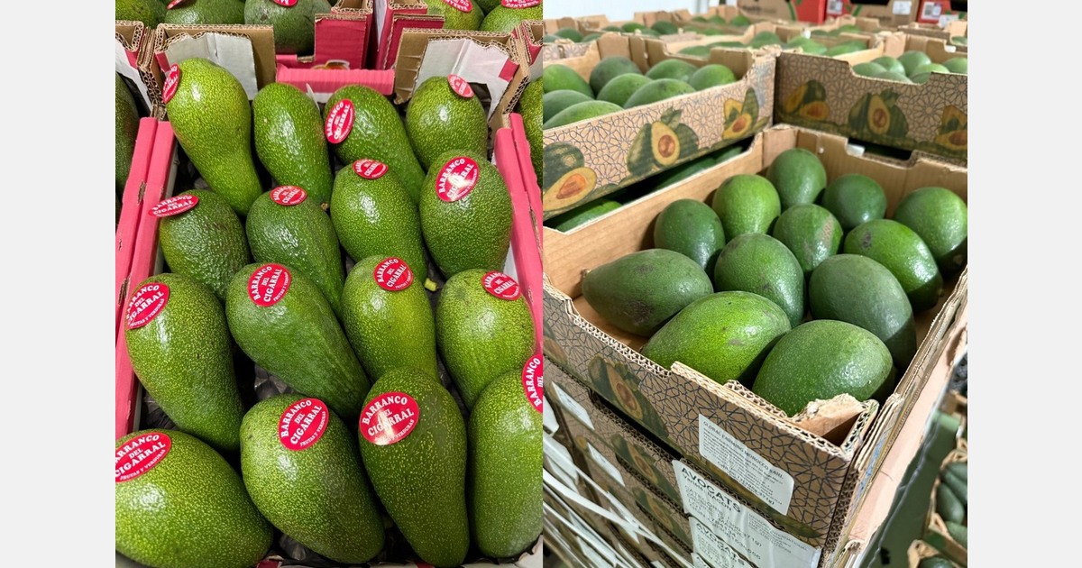 Tropical market: High prices, flat demand, and avocado uncertainty