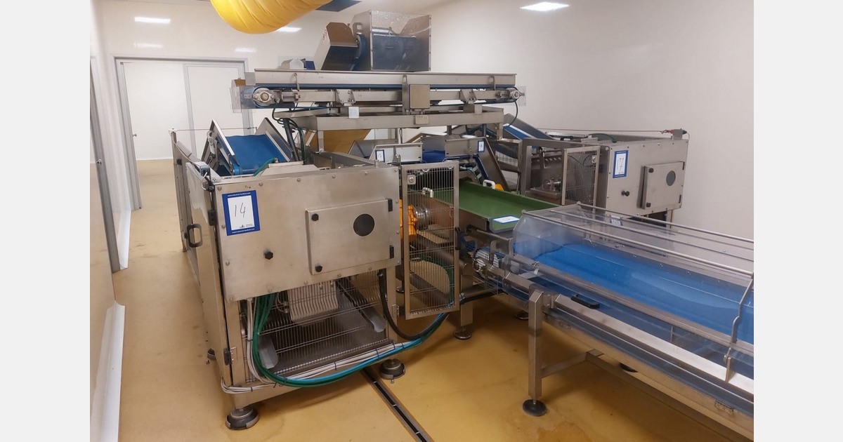 Vegetable washing, drying, and packaging line at auction