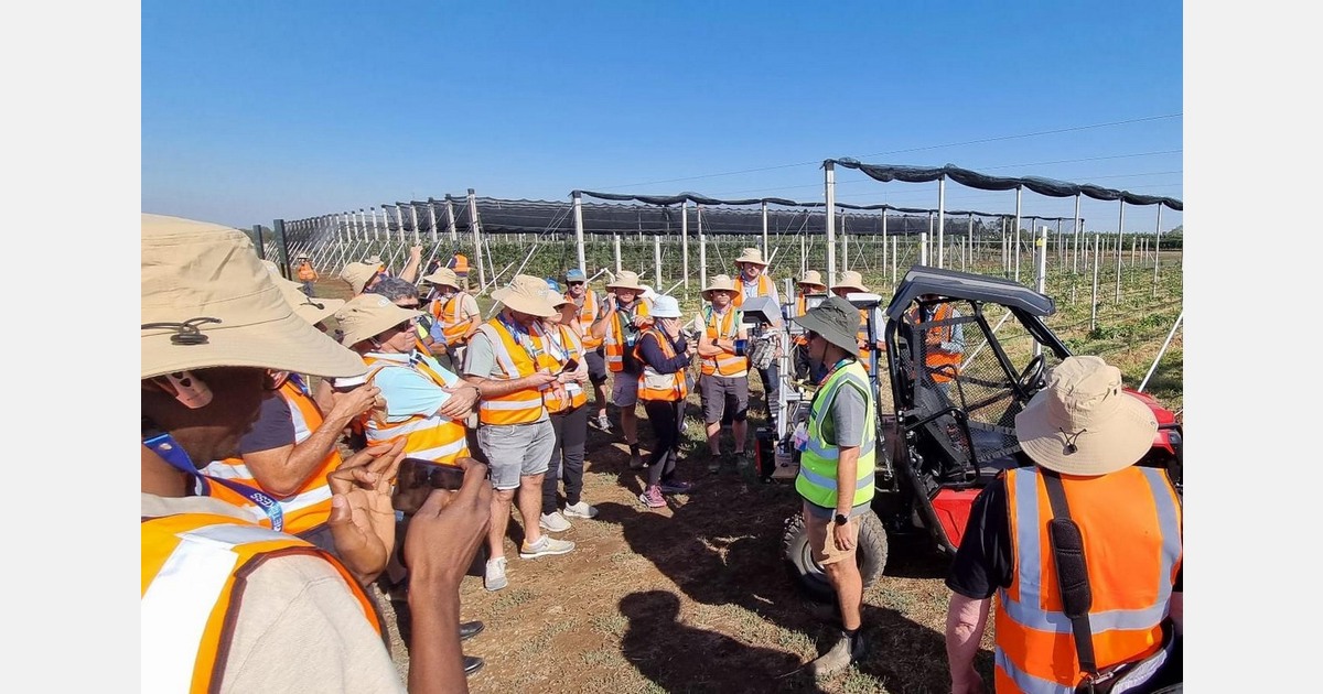 12th International Symposium on Kiwifruit ISHS 2027 presented in Australia