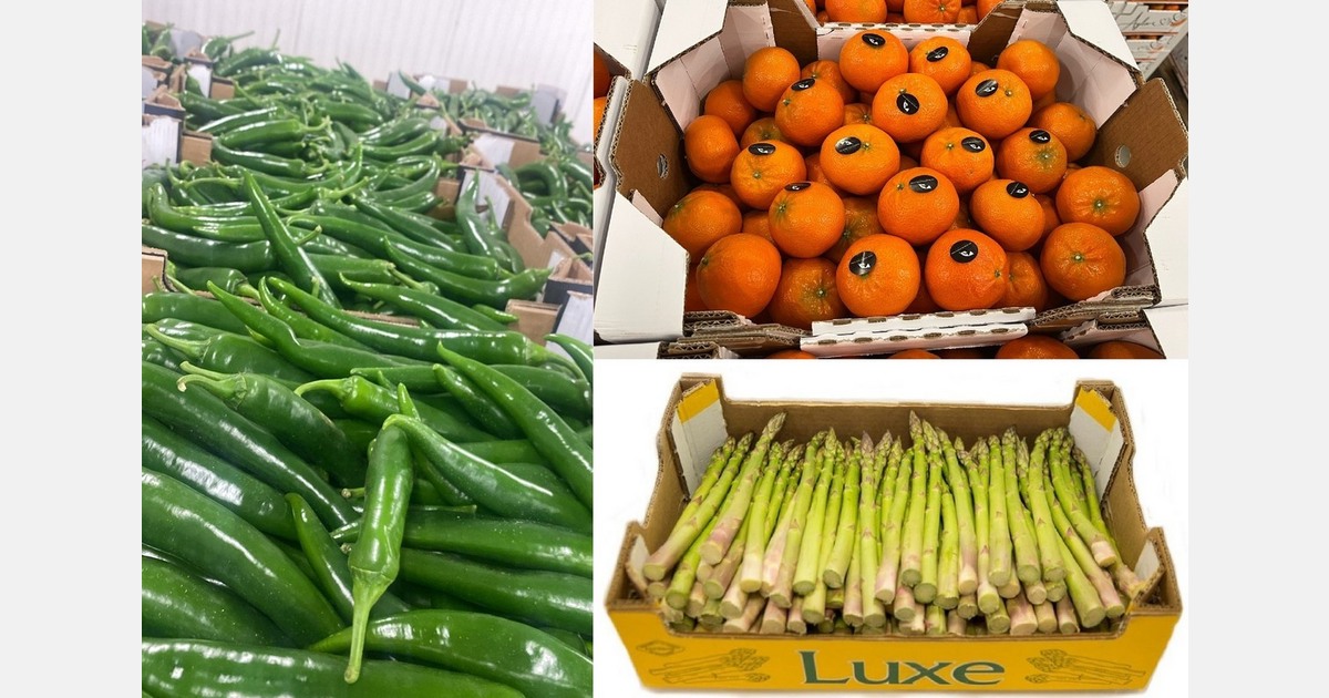 "Volatile production and unusually skyrocketing prices are testing the European market"