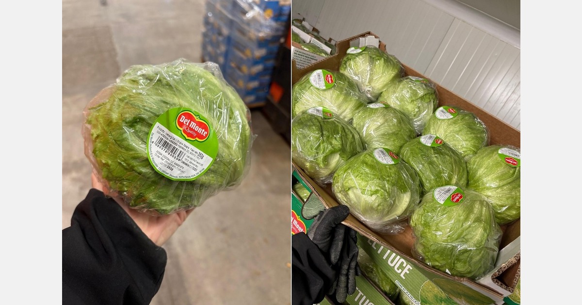 Iceberg lettuce sales rise as adverse weather in Spain impacts supply and prices
