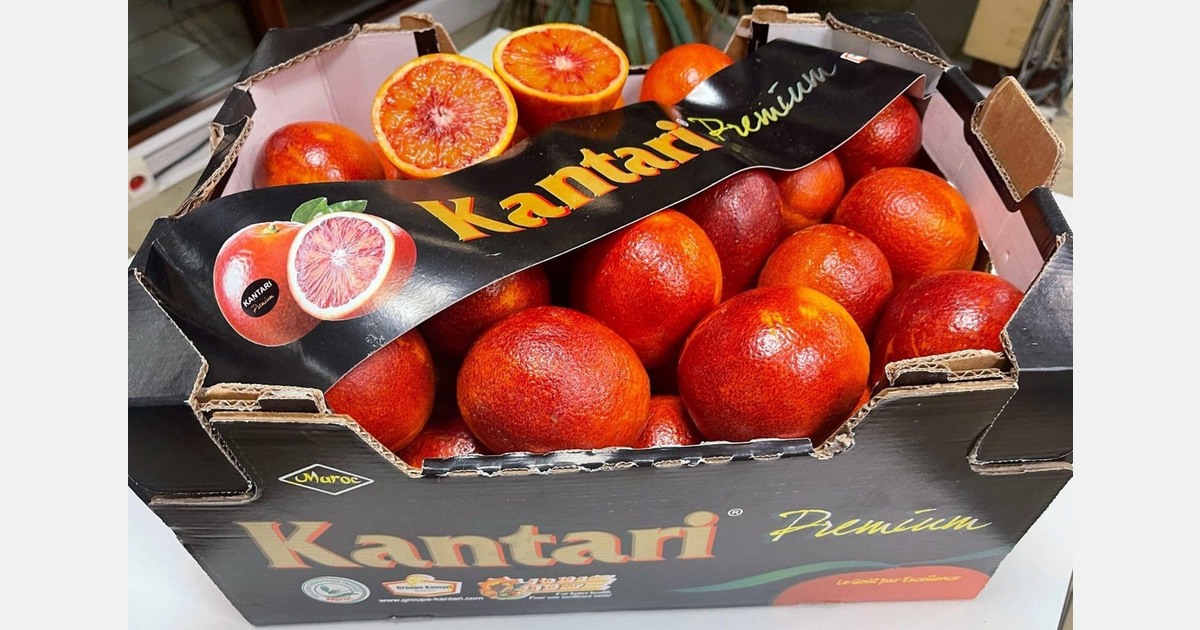 Diversification of citrus origins as strategic leverage amid climate and market tension