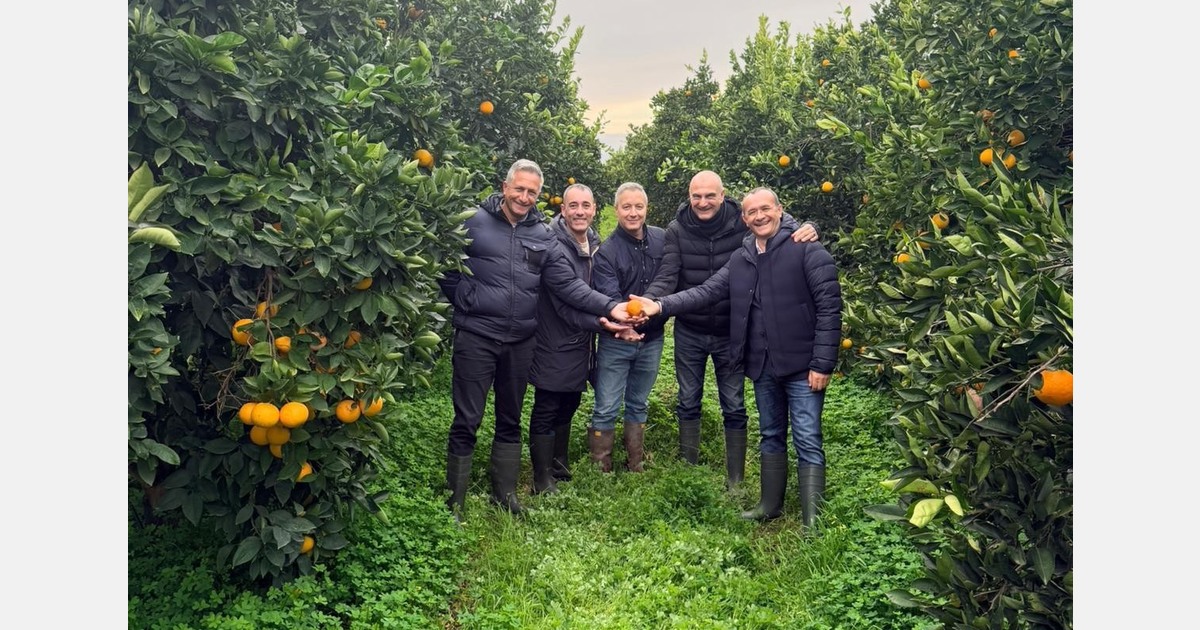 "Highly-volatile citrus campaign due to extreme weather events and non-EU competitors"