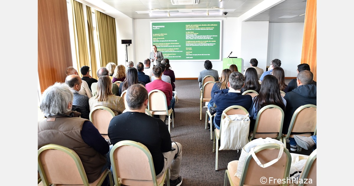 Market dynamics, climate challenges, and genetic innovation in the global spinach supply chain